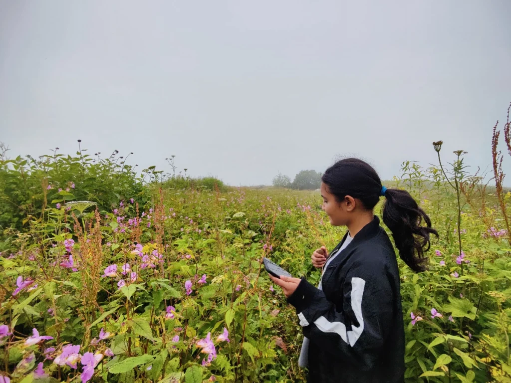 Valley of flowers Trek