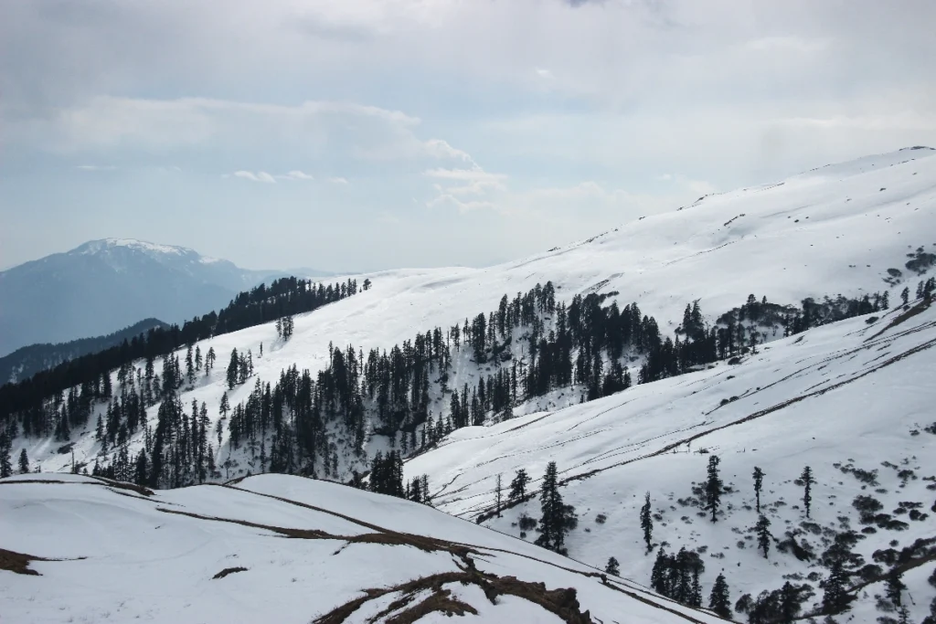 snow view from Dayara Bugyal Trek