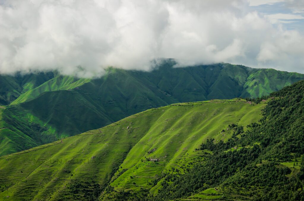 View from Ali Bedni Bugyal Trek