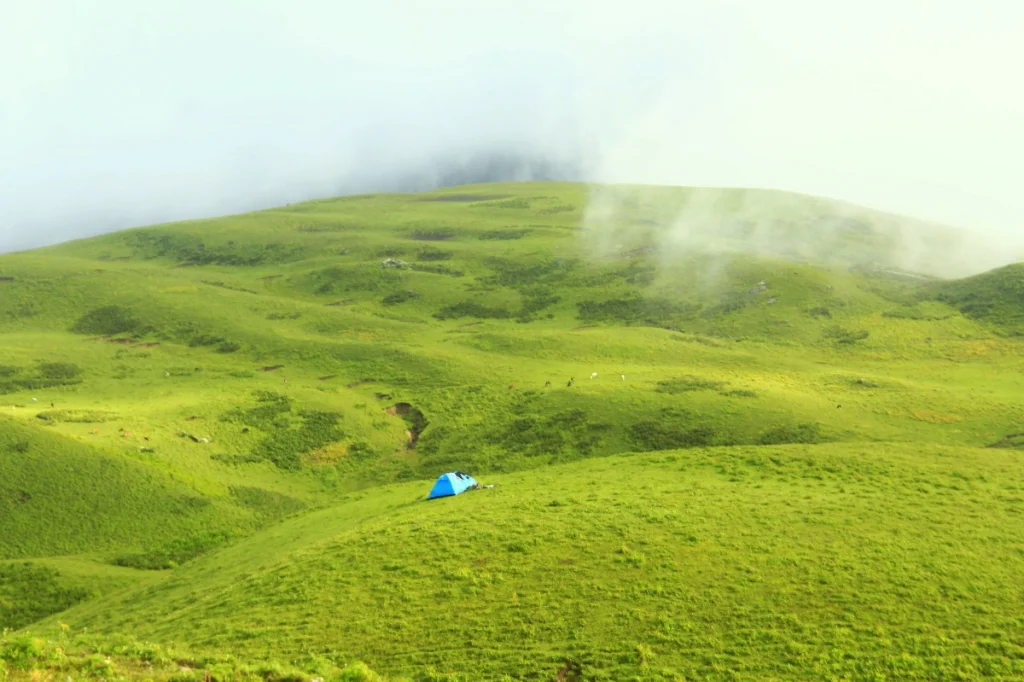 Dayara Bugyal Trek- Landscape
