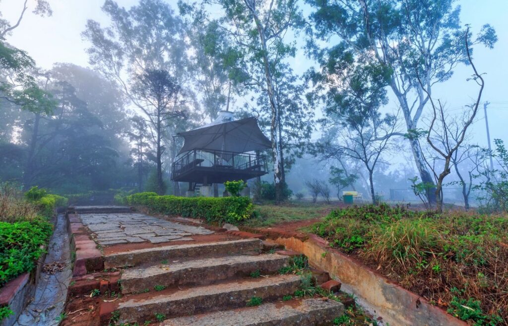 Channagiri Betta Trek