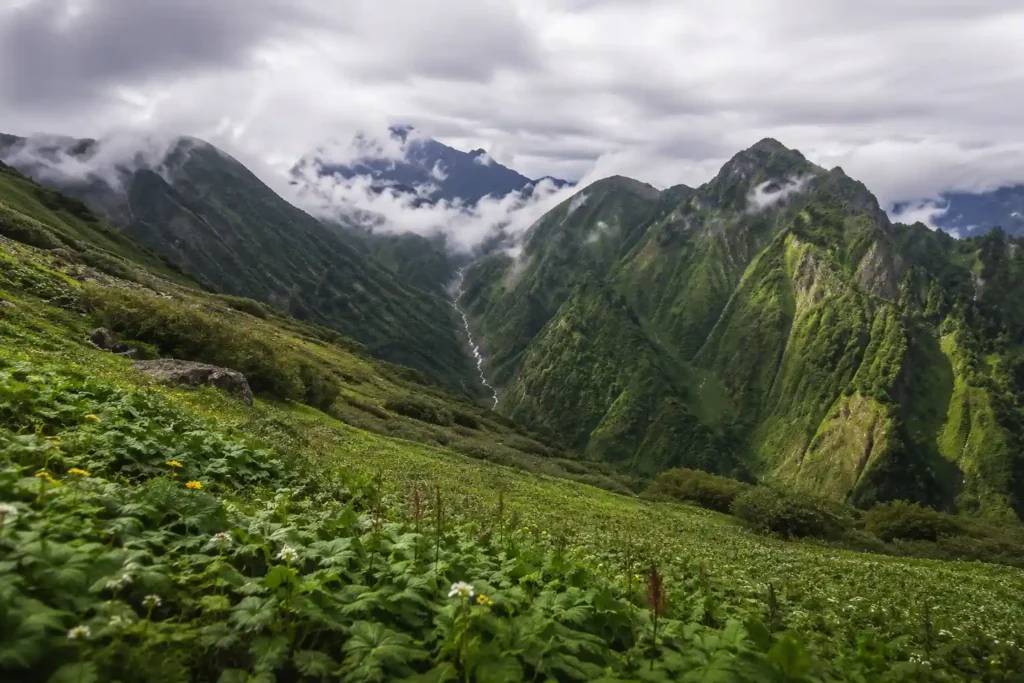 Scenic view of the Chenap Valley Trek featuring lush green meadows, dense forests, mountain trails, and breathtaking Himalayan peaks in Uttarakhand, India.