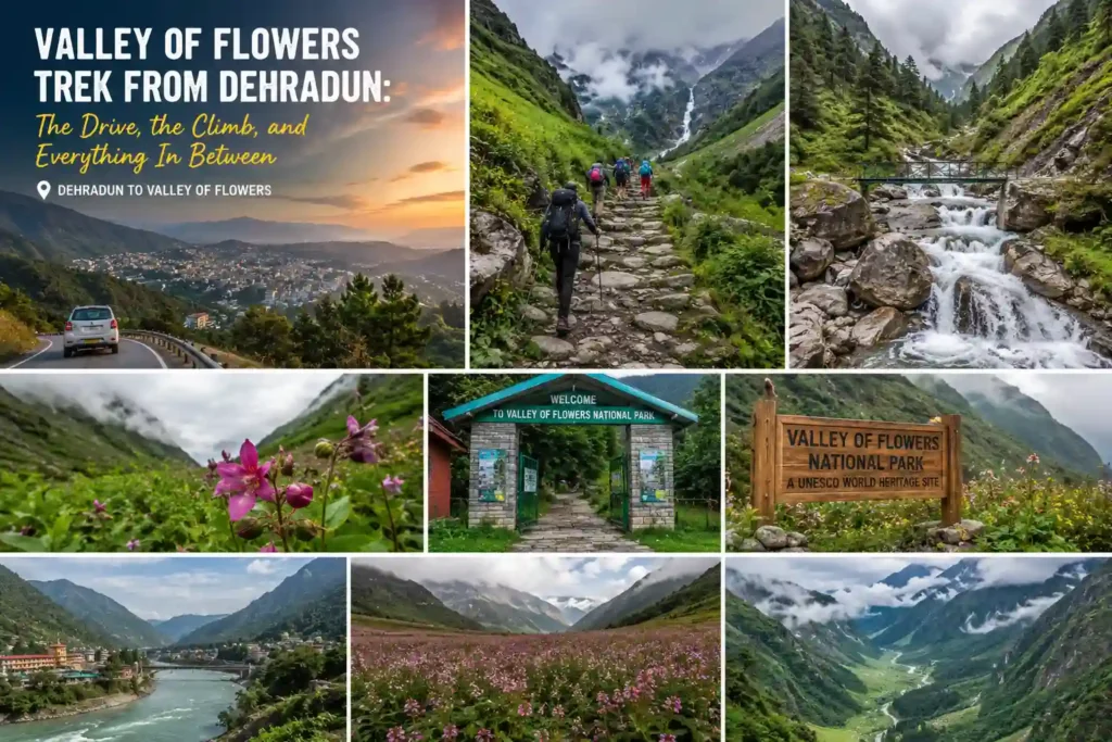 Trekkers hiking through the lush Valley of Flowers National Park in Uttarakhand, with colorful alpine flowers, waterfalls, mountain trails, scenic valleys, and breathtaking Himalayan landscapes during the journey from Dehradun.
