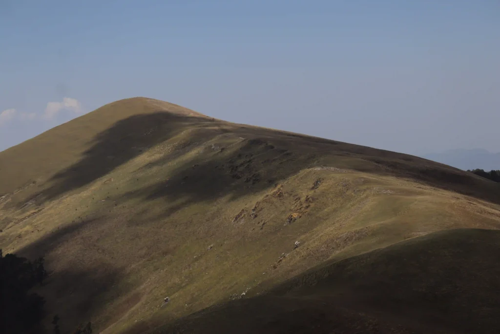 ali bedni bugyal mountain view